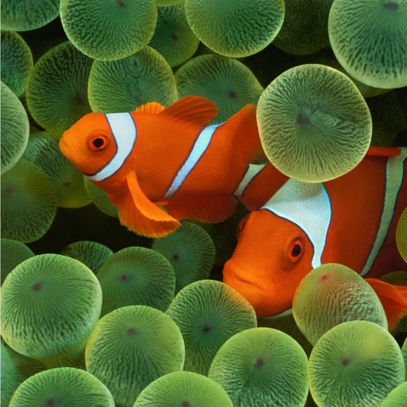 Meet your Posher, Jay - Picture 2 of 2